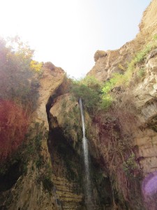 Lower David waterfall 